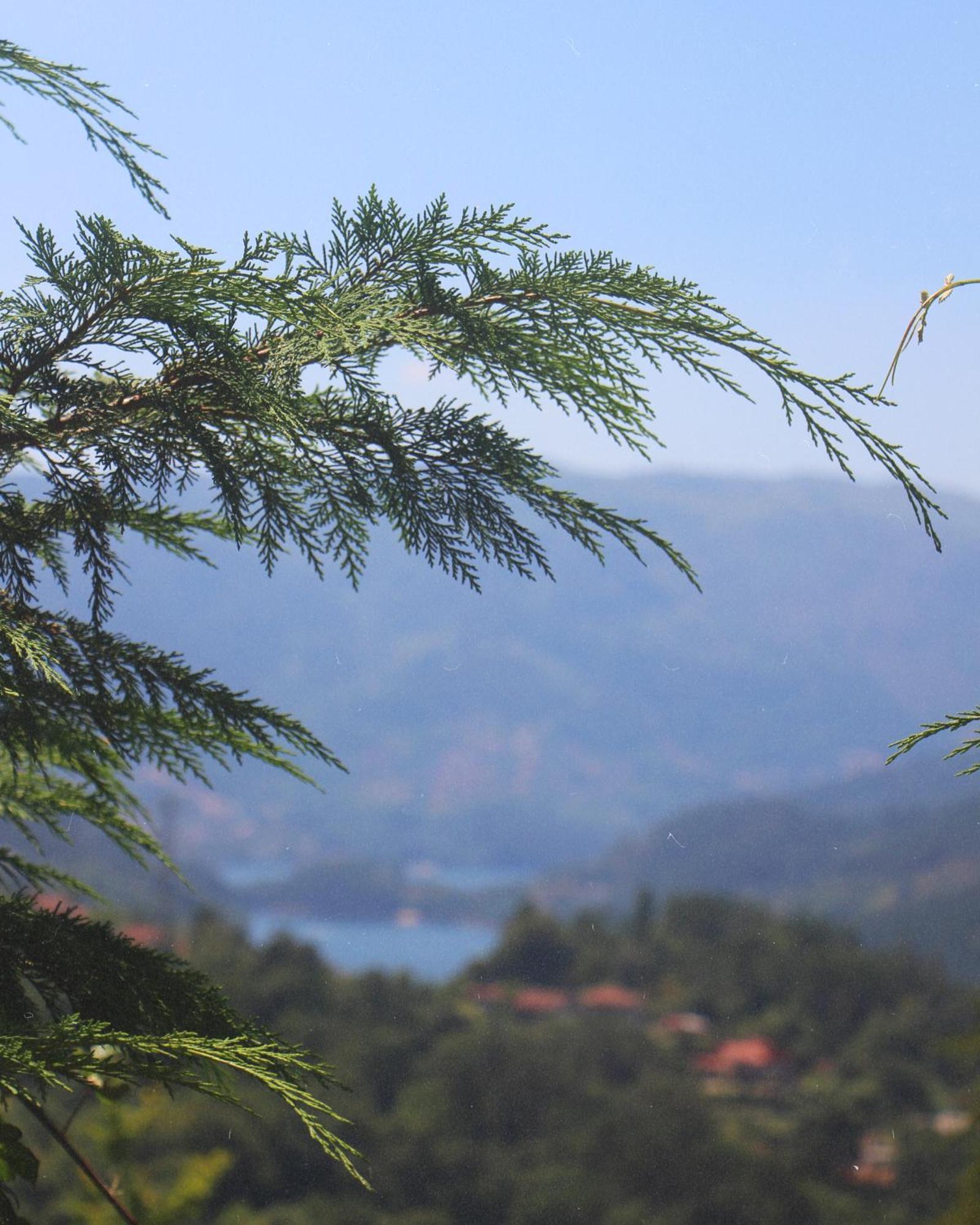 Geres - Aldeia Turistica De Louredo Villa Vieira do Minho Bagian luar foto